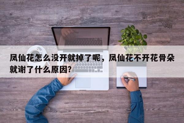 凤仙花怎么没开就掉了呢，凤仙花不开花骨朵就谢了什么原因？-第1张图片-我家生活百科