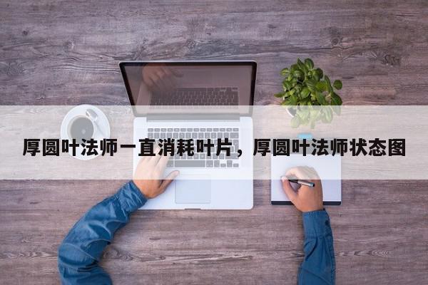 厚圆叶法师一直消耗叶片，厚圆叶法师状态图-第1张图片-我家生活百科