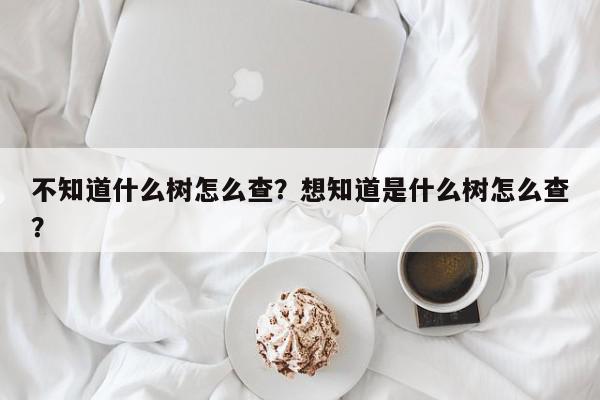 不知道什么树怎么查？想知道是什么树怎么查？-第1张图片-我家生活百科