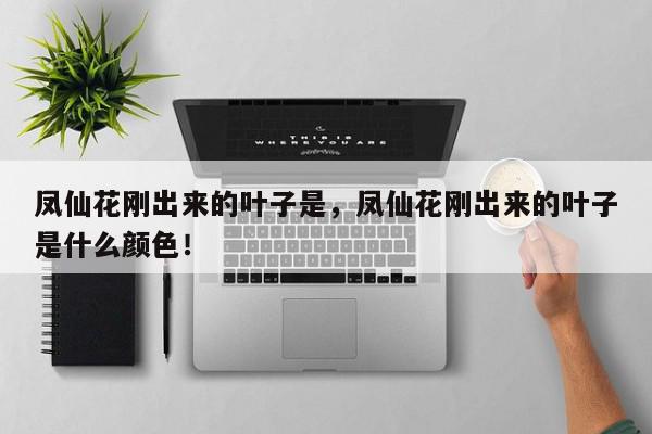 凤仙花刚出来的叶子是，凤仙花刚出来的叶子是什么颜色！-第1张图片-我家生活百科
