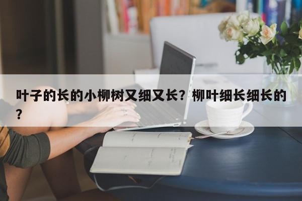 叶子的长的小柳树又细又长？柳叶细长细长的？-第1张图片-我家生活百科
