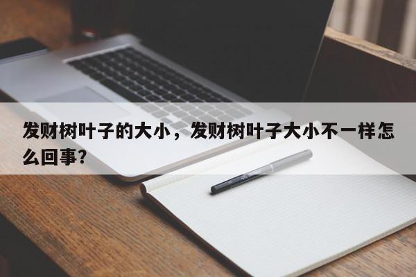 发财树叶子的大小，发财树叶子大小不一样怎么回事？-第1张图片-我家生活百科