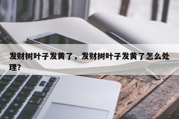 发财树叶子发黄了，发财树叶子发黄了怎么处理？-第1张图片-我家生活百科