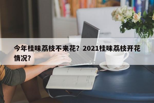 今年桂味荔枝不来花？2021桂味荔枝开花情况？-第1张图片-我家生活百科