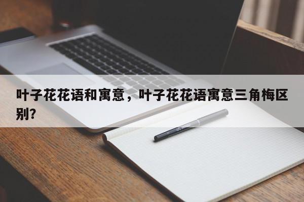叶子花花语和寓意，叶子花花语寓意三角梅区别？-第1张图片-我家生活百科