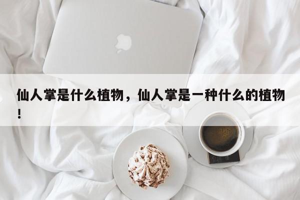 仙人掌是什么植物，仙人掌是一种什么的植物！-第1张图片-我家生活百科
