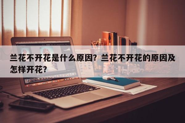 兰花不开花是什么原因？兰花不开花的原因及怎样开花？-第1张图片-我家生活百科