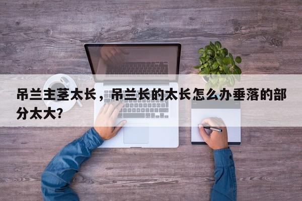 吊兰主茎太长，吊兰长的太长怎么办垂落的部分太大？-第1张图片-我家生活百科