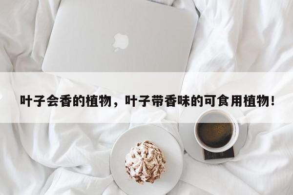 叶子会香的植物，叶子带香味的可食用植物！-第1张图片-我家生活百科