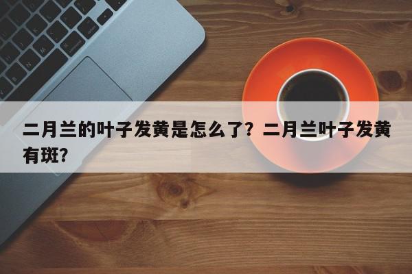 二月兰的叶子发黄是怎么了?二月兰叶子发黄有斑?-第1张图片-我家生活百科 二月兰的叶子发黄是怎么了?二月兰叶子发黄有斑?-第1张图片-我家生活百科