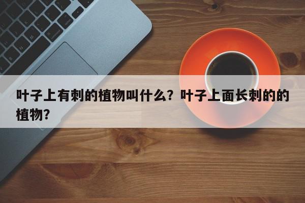 叶子上有刺的植物叫什么？叶子上面长刺的的植物？-第1张图片-我家生活百科