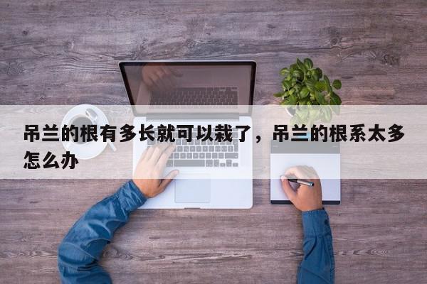 吊兰的根有多长就可以栽了，吊兰的根系太多怎么办-第1张图片-我家生活百科