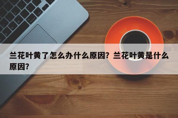 兰花叶黄了怎么办什么原因？兰花叶黄是什么原因？-第1张图片-我家生活百科