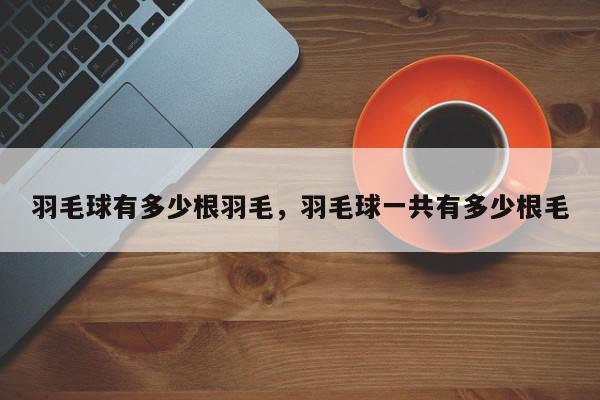 羽毛球有多少根羽毛，羽毛球一共有多少根毛-第1张图片-我家生活百科