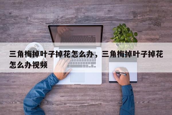 三角梅掉叶子掉花怎么办，三角梅掉叶子掉花怎么办视频-第1张图片-我家生活百科