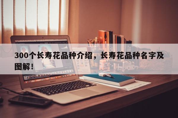 300个长寿花品种介绍，长寿花品种名字及图解！-第1张图片-我家生活百科