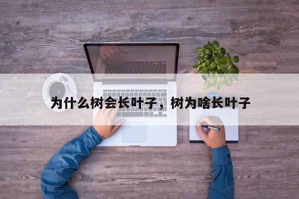 为什么树会长叶子，树为啥长叶子-第1张图片-我家生活百科
