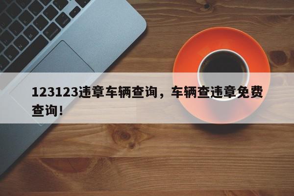 123123违章车辆查询，车辆查违章免费查询！-第1张图片-我家生活百科