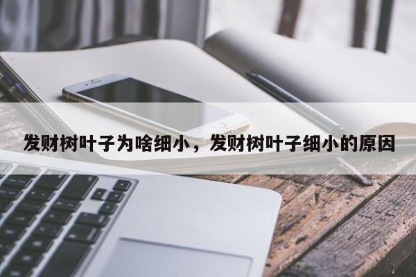 发财树叶子为啥细小，发财树叶子细小的原因-第1张图片-我家生活百科
