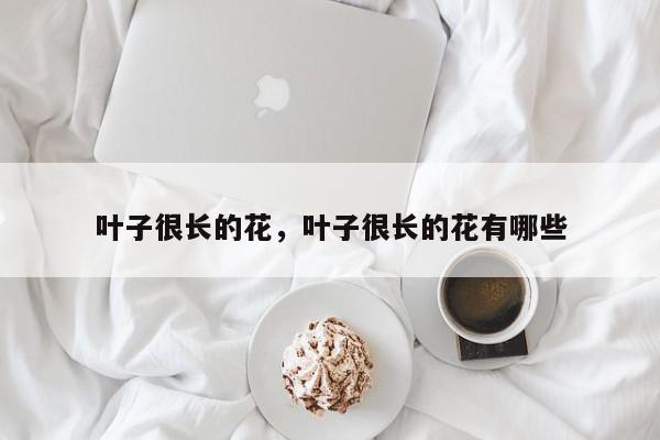 叶子很长的花，叶子很长的花有哪些-第1张图片-我家生活百科