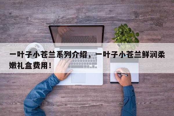 一叶子小苍兰系列介绍，一叶子小苍兰鲜润柔嫩礼盒费用！-第1张图片-我家生活百科