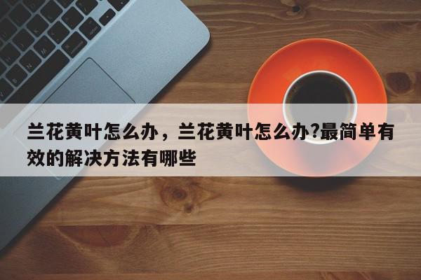 兰花黄叶怎么办，兰花黄叶怎么办?最简单有效的解决方法有哪些-第1张图片-我家生活百科
