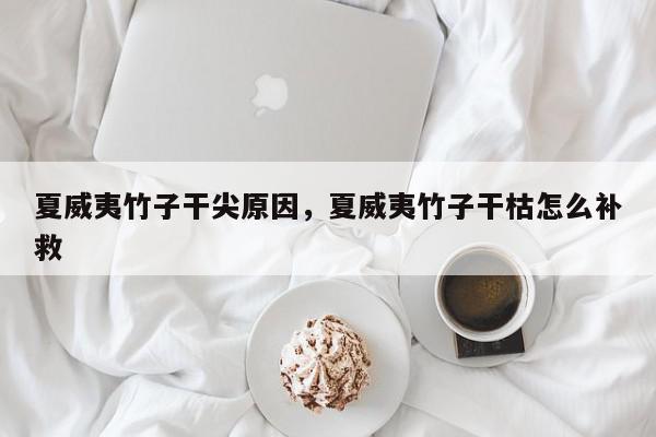 夏威夷竹子干尖原因，夏威夷竹子干枯怎么补救-第1张图片-我家生活百科