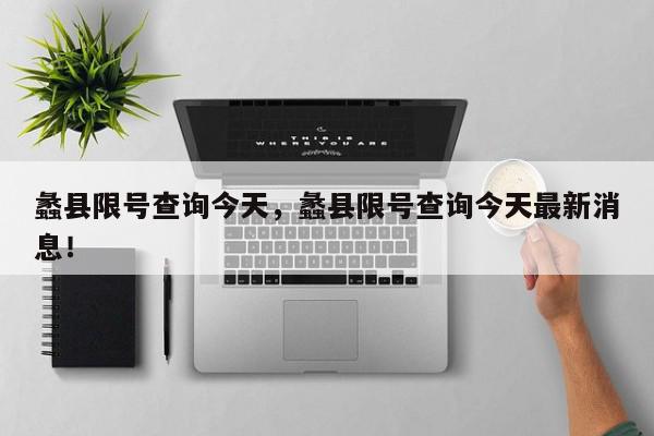 蠡县限号查询今天，蠡县限号查询今天最新消息！-第1张图片-我家生活百科