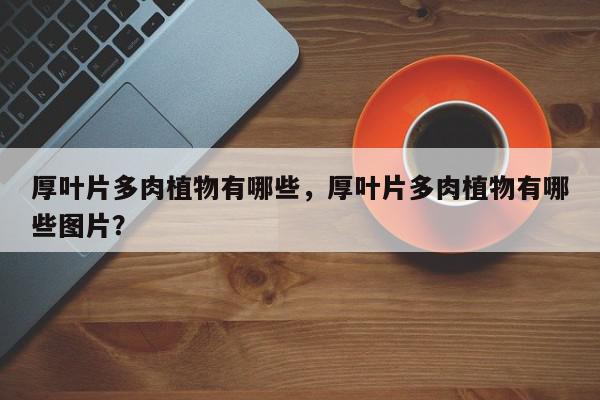 厚叶片多肉植物有哪些，厚叶片多肉植物有哪些图片？-第1张图片-我家生活百科