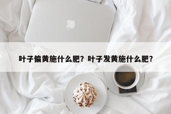 叶子偏黄施什么肥？叶子发黄施什么肥？-第1张图片-我家生活百科