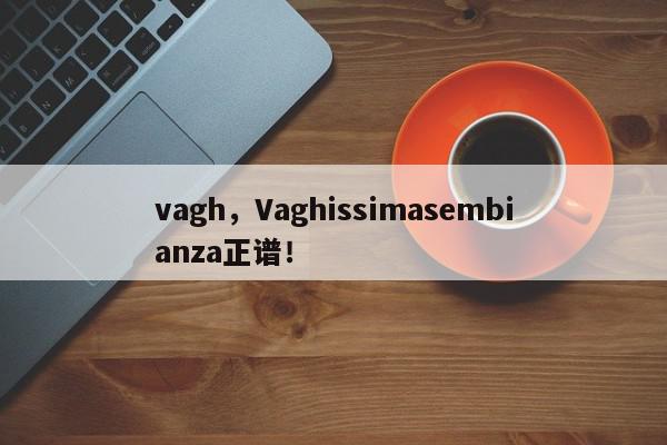 vagh，Vaghissimasembianza正谱！-第1张图片-我家生活百科