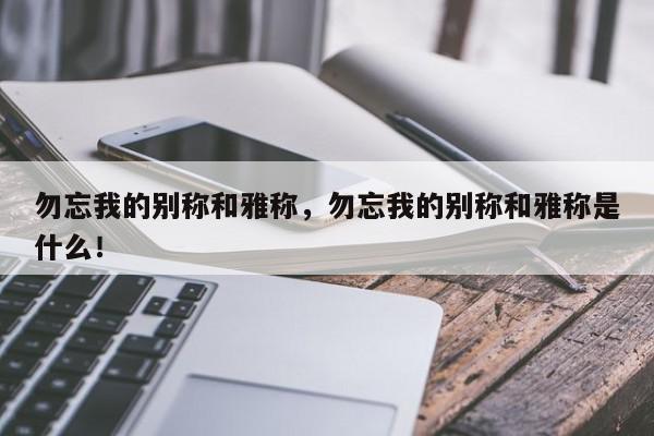 勿忘我的别称和雅称，勿忘我的别称和雅称是什么！-第1张图片-我家生活百科