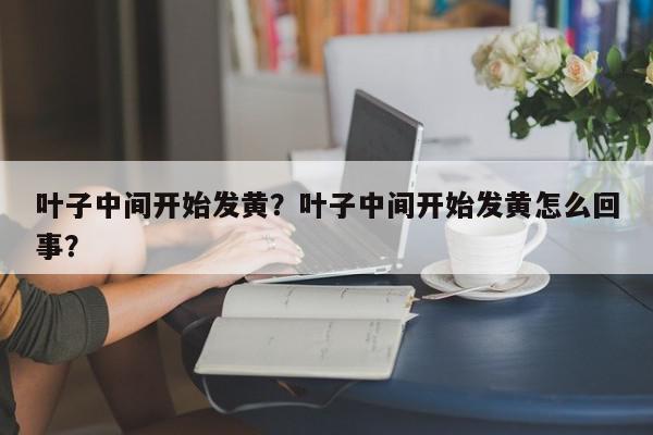 叶子中间开始发黄？叶子中间开始发黄怎么回事？-第1张图片-我家生活百科