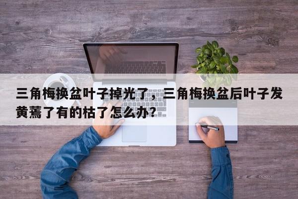 三角梅换盆叶子掉光了，三角梅换盆后叶子发黄蔫了有的枯了怎么办？-第1张图片-我家生活百科