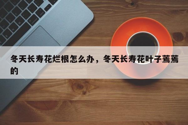 冬天长寿花烂根怎么办，冬天长寿花叶子蔫蔫的-第1张图片-我家生活百科