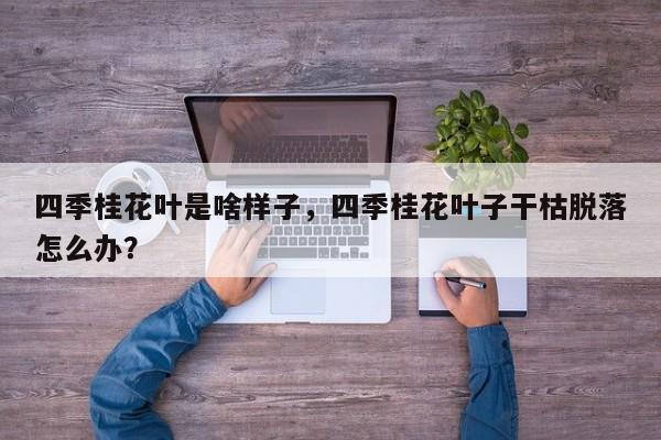四季桂花叶是啥样子，四季桂花叶子干枯脱落怎么办？-第1张图片-我家生活百科
