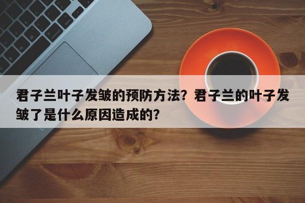 君子兰叶子发皱的预防方法？君子兰的叶子发皱了是什么原因造成的？-第1张图片-我家生活百科