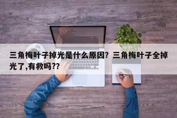 三角梅叶子掉光是什么原因？三角梅叶子全掉光了,有救吗?？-第1张图片-我家生活百科