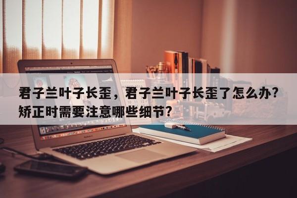 君子兰叶子长歪，君子兰叶子长歪了怎么办?矫正时需要注意哪些细节?-第1张图片-我家生活百科