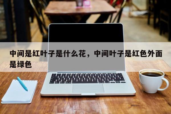 中间是红叶子是什么花,中间叶子是红色外面是绿色-第1张图片-我家生活百科 中间是红叶子是什么花,中间叶子是红色外面是绿色-第1张图片-我家生活百科