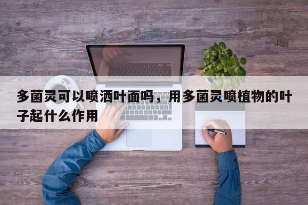 多菌灵可以喷洒叶面吗,用多菌灵喷植物的叶子起什么作用-第1张图片-我家生活百科 多菌灵可以喷洒叶面吗,用多菌灵喷植物的叶子起什么作用-第1张图片-我家生活百科