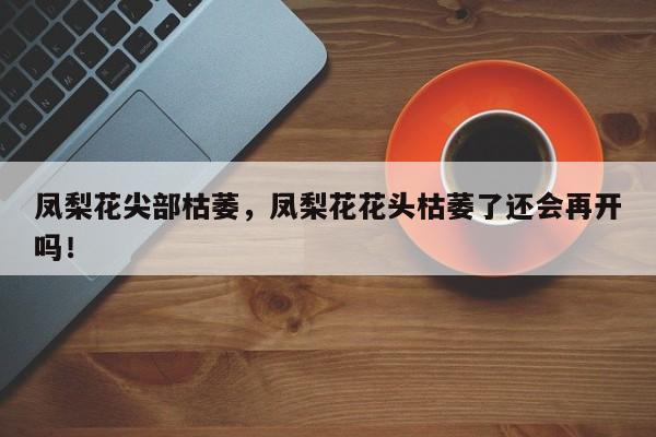 凤梨花尖部枯萎，凤梨花花头枯萎了还会再开吗！-第1张图片-我家生活百科