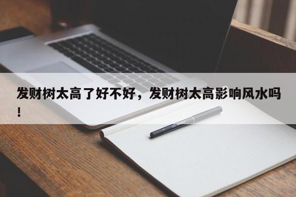 发财树太高了好不好，发财树太高影响风水吗！-第1张图片-我家生活百科