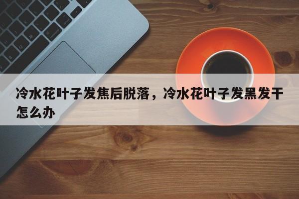 冷水花叶子发焦后脱落，冷水花叶子发黑发干怎么办-第1张图片-我家生活百科