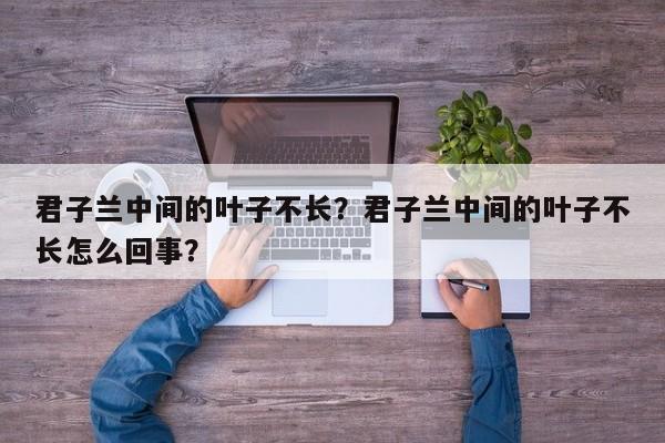 君子兰中间的叶子不长？君子兰中间的叶子不长怎么回事？-第1张图片-我家生活百科