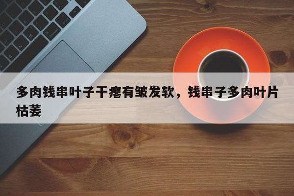 多肉钱串叶子干瘪有皱发软，钱串子多肉叶片枯萎-第1张图片-我家生活百科