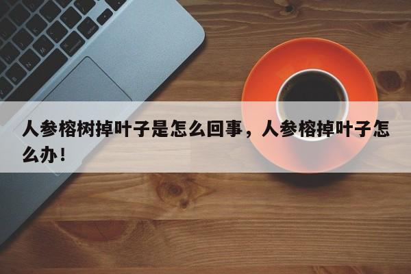 人参榕树掉叶子是怎么回事，人参榕掉叶子怎么办！-第1张图片-我家生活百科