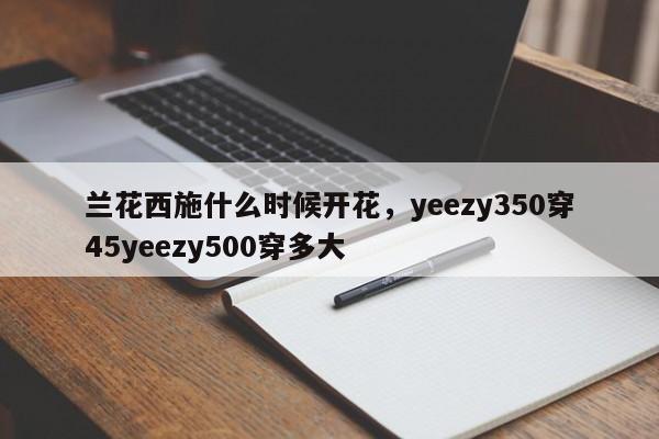 兰花西施什么时候开花，yeezy350穿45yeezy500穿多大-第1张图片-我家生活百科