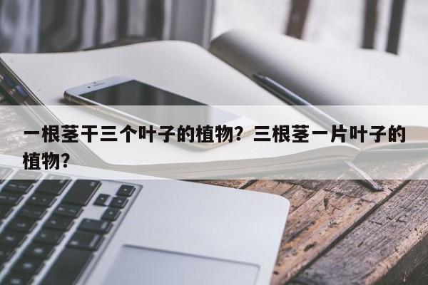 一根茎干三个叶子的植物？三根茎一片叶子的植物？-第1张图片-我家生活百科