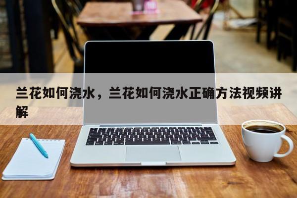 兰花如何浇水，兰花如何浇水正确方法视频讲解-第1张图片-我家生活百科
